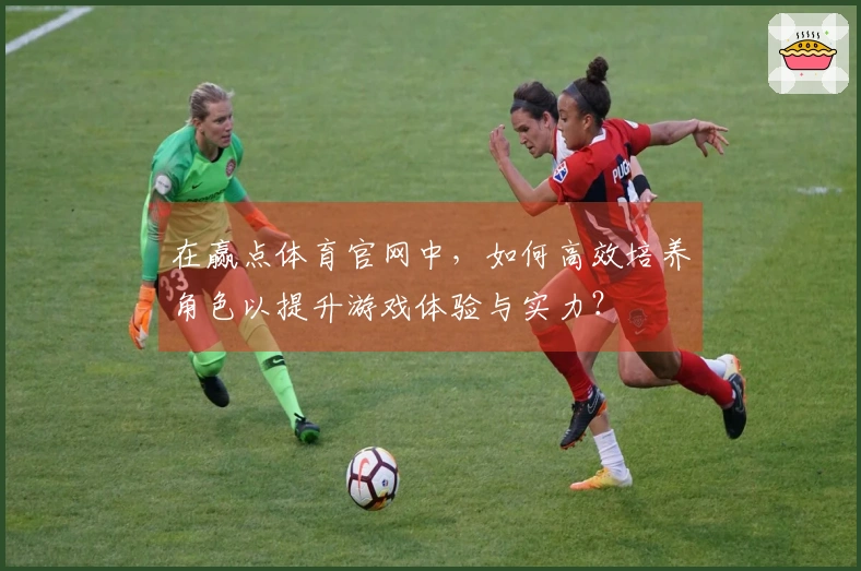在赢点体育官网中，如何高效培养角色以提升游戏体验与实力？