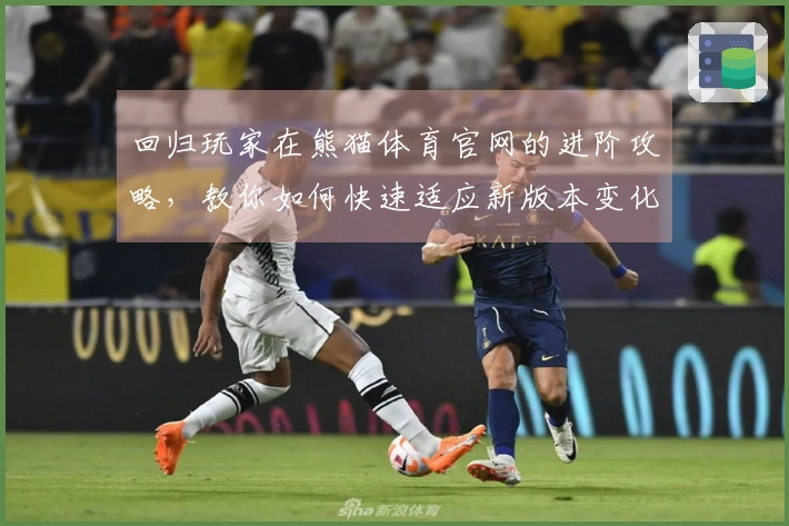 回归玩家在熊猫体育官网的进阶攻略，教你如何快速适应新版本变化与提升游戏体验