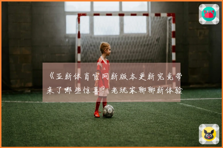 《亚新体育官网新版本更新究竟带来了哪些惊喜？老玩家聊聊新体验与变化》